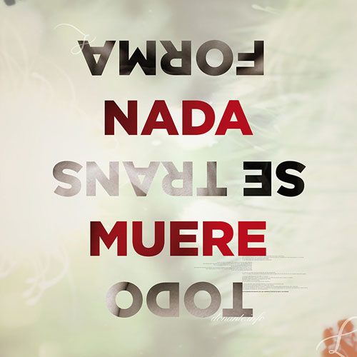 qode interactive strata